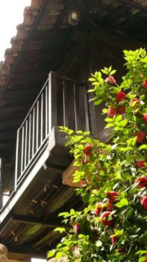 Celorio  La Casina De Celorio旅馆 外观 照片